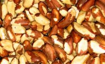 브라질넛 오일 버진<br>Brazil Nut Oil CP VIRGIN