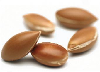 아르간오일 비정제  Argan cp virgin
