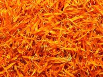 칼렌듈라 페달  Calendula Petals 