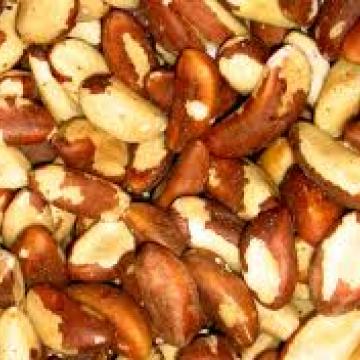 브라질넛 오일 버진<br>Brazil Nut Oil CP VIRGIN